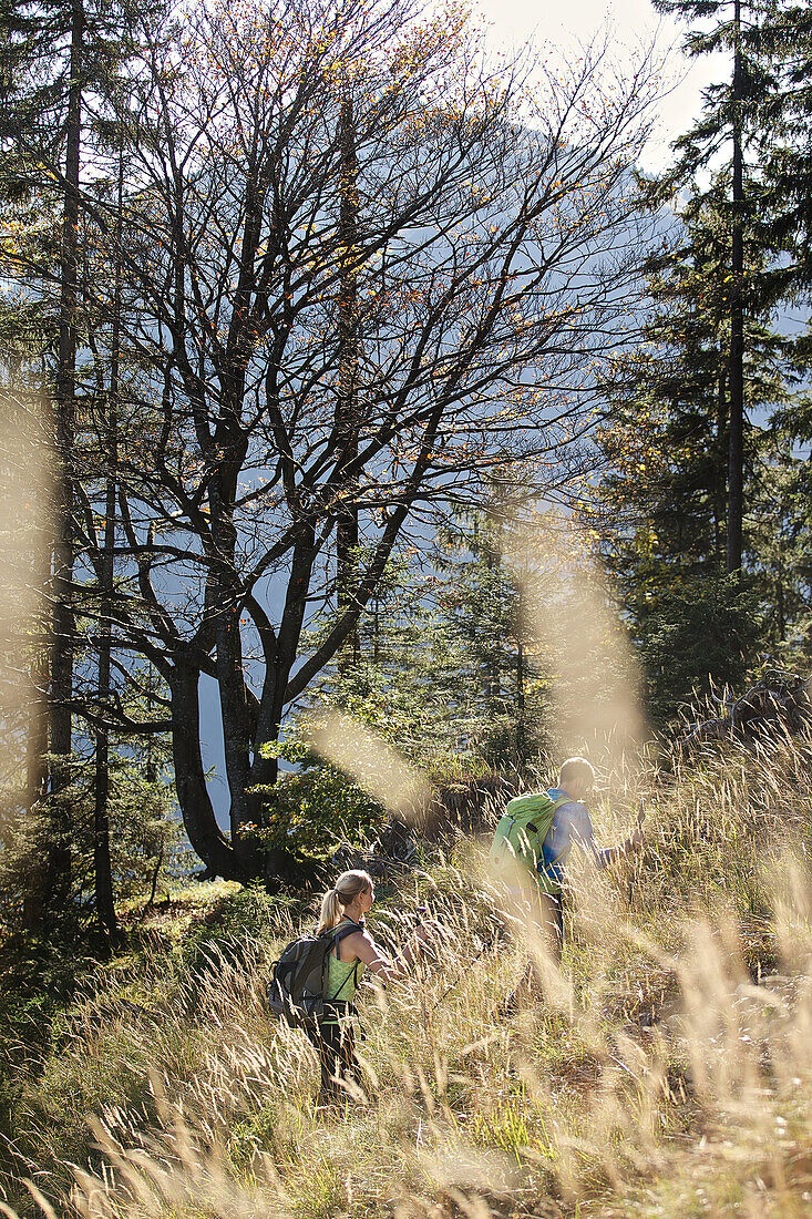 Eine Frau und ein Mann wandern in den Bergen, Oberstdorf, Bayern, Deutschland