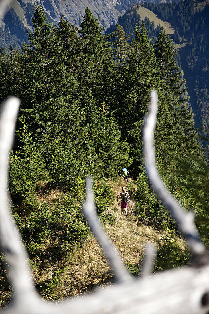 A man and a woman hiking on a trail in the mountains, Oberstdorf, Bavaria, Germany