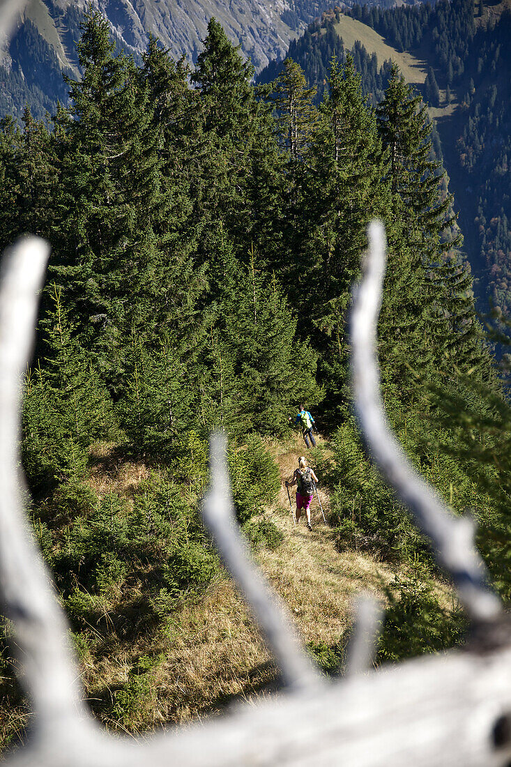 Eine Frau und ein Mann wandern auf einem Weg  in den Bergen, Oberstdorf, Bayern, Deutschland
