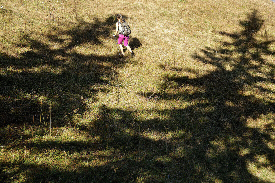 Junge Frau wandert einen Berg hinauf an einem sonnigen Tag, Oberstdorf, Bayern, Deutschland
