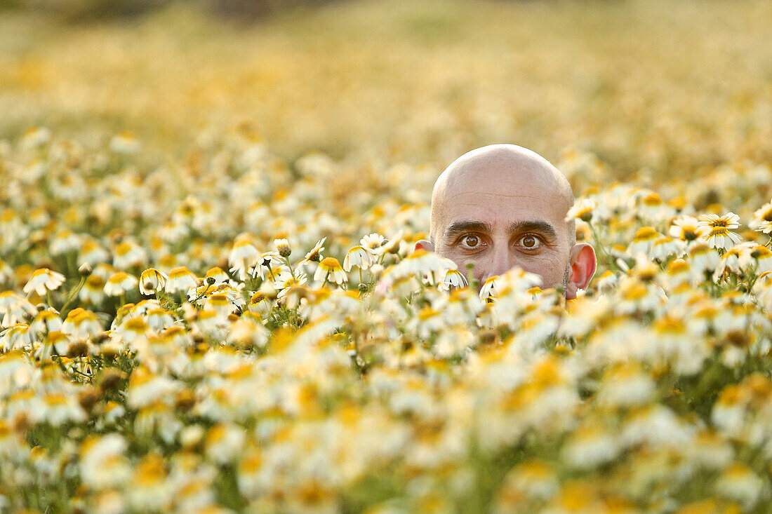 The head of a young man looking out of a flower field, Mallorca, Spain