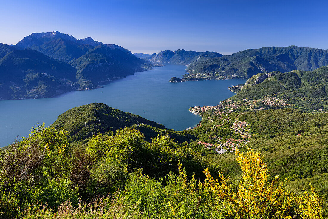 Managgio (right-hand side) on the western shore of Lake Como, on the opposite shore is the town of Varenna and above it Grigna Settentrionale (2408 m), Italy
