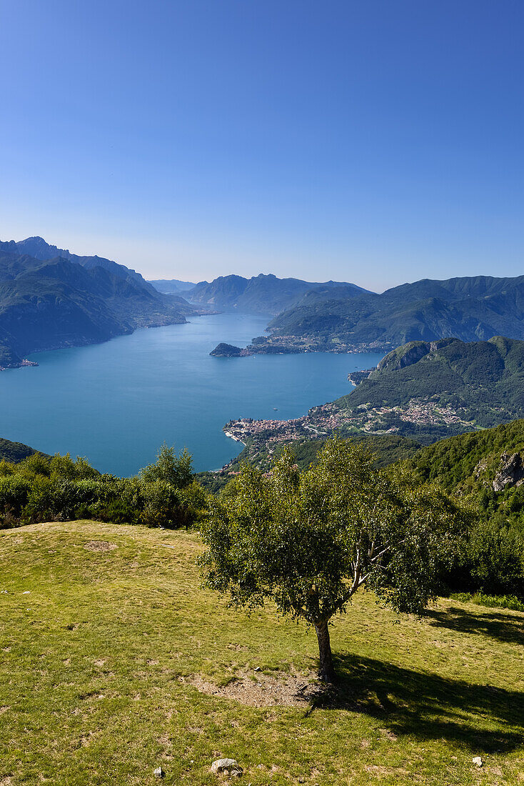 Blick vom Rifugio Menaggio auf Menaggio (rechts) am Westufer des Comer Sees, Italien