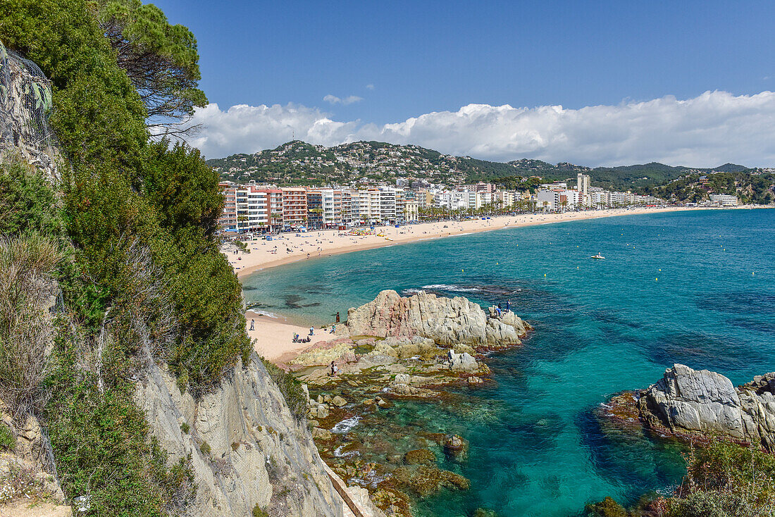 Blick von Felsen der Cala Banys auf Stadt und Strand Playa (Platja) de Lloret, Mittelmeer, Lloret de Mar, Costa Brava, Katalonien, Spanien