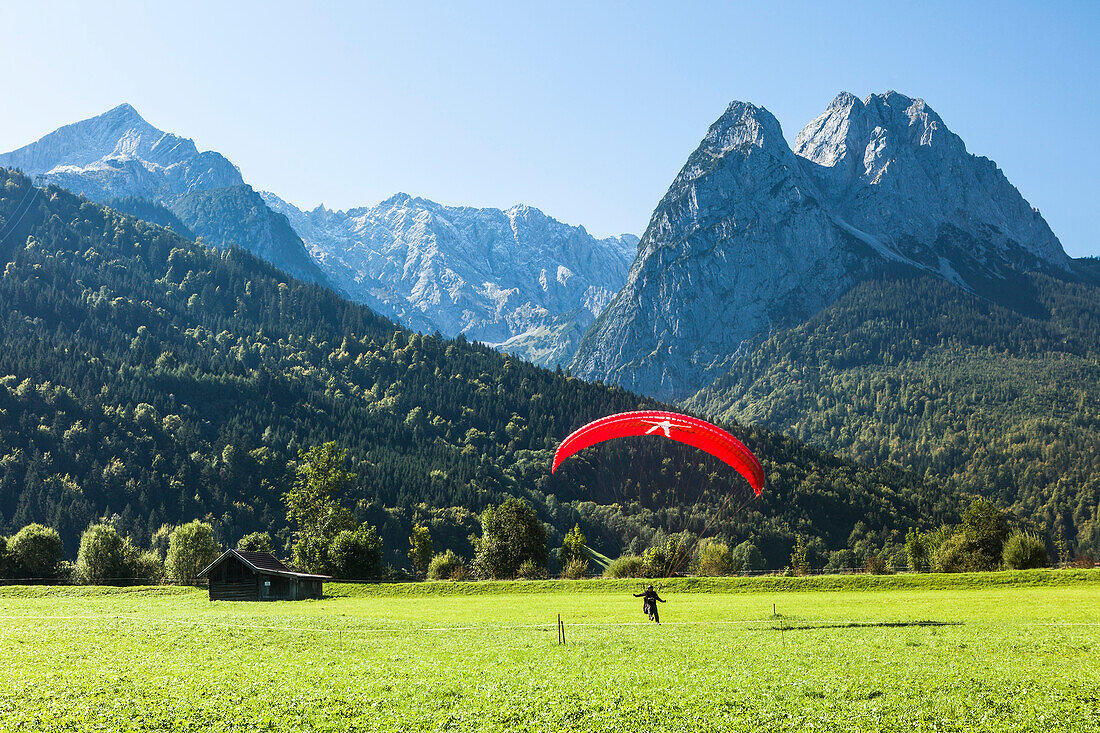 Paraglider landing on meadow overlooking Alpspitz, Jubilaeums Ridge and Waxenstein, Garmisch-Partenkirchen, Bavaria, Germany