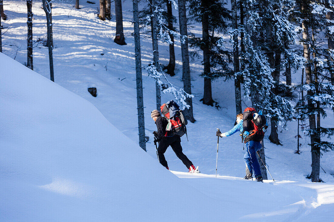 Backcountry skiers in the Tennengebirge mountains, Salzburg, Austria