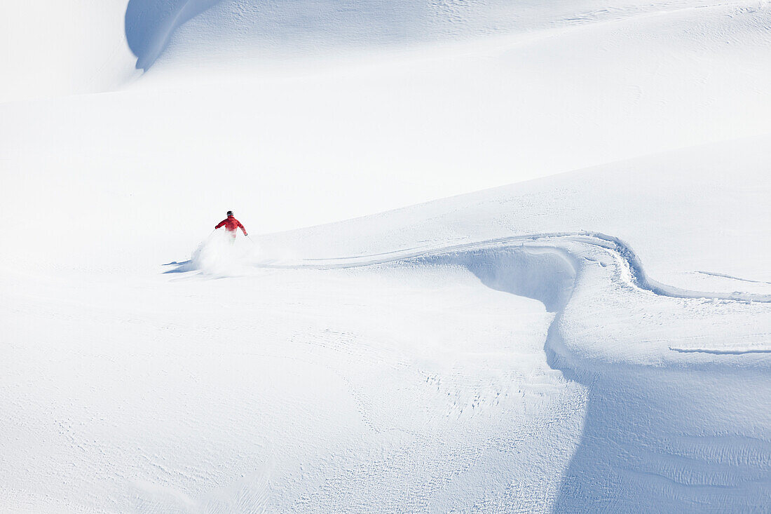 skier in deep powder snow, Zugspitze, Upper Bavaria, Germany