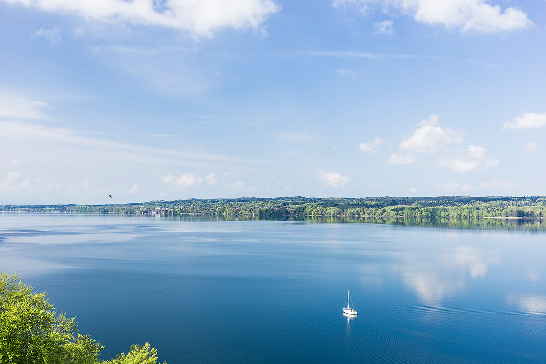 Segelboot am Starnberger See, Darüber Gans im Flug, im Hintergrund Tutzing, Bayern, Deutschland