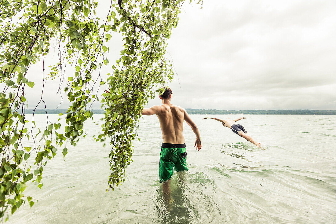 zwei junge Männer steigen neben Birke in den Starnberger See, Berg, Oberbayern, Deutschland