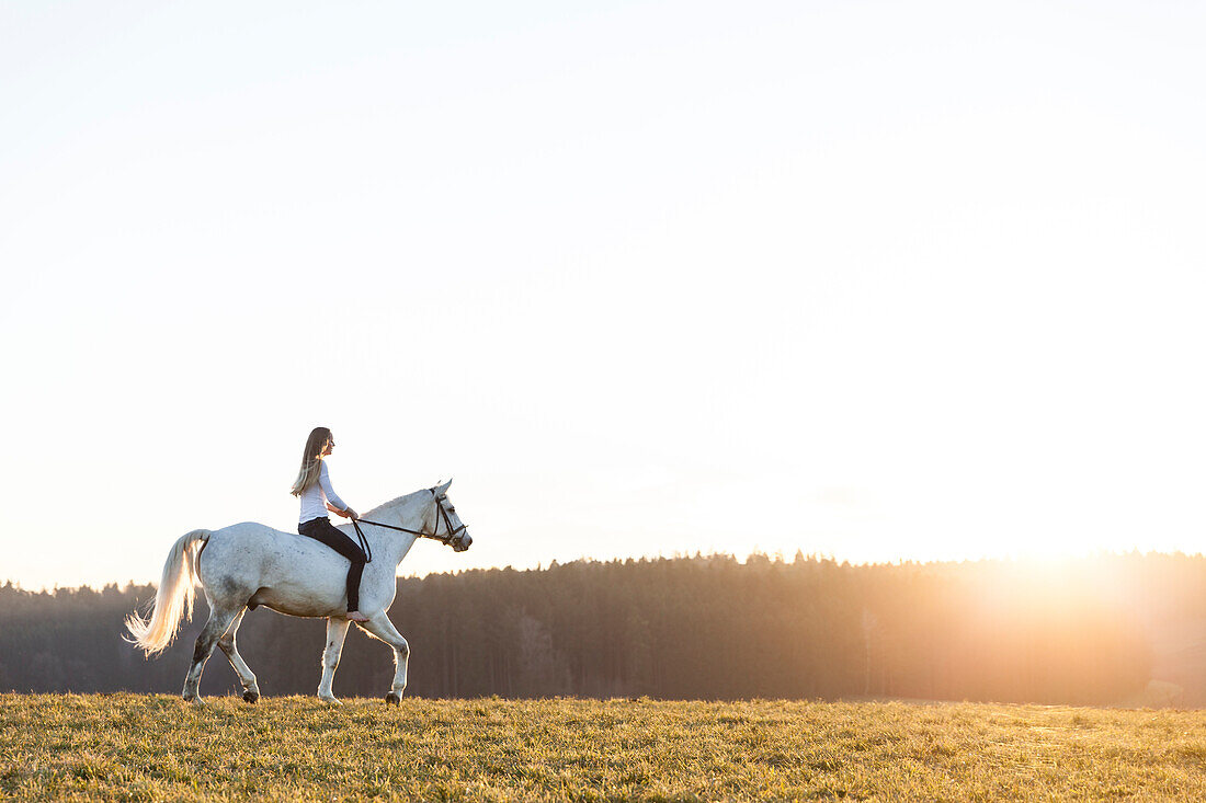 Mädchen reitet auf Pferd bei Sonnenuntergang, Freising, Bayern, Deutschland