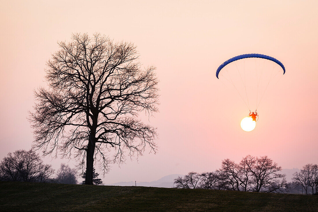 Motor-Paraglider near trees in setting sun, Penzberg, Bavaria, Germany