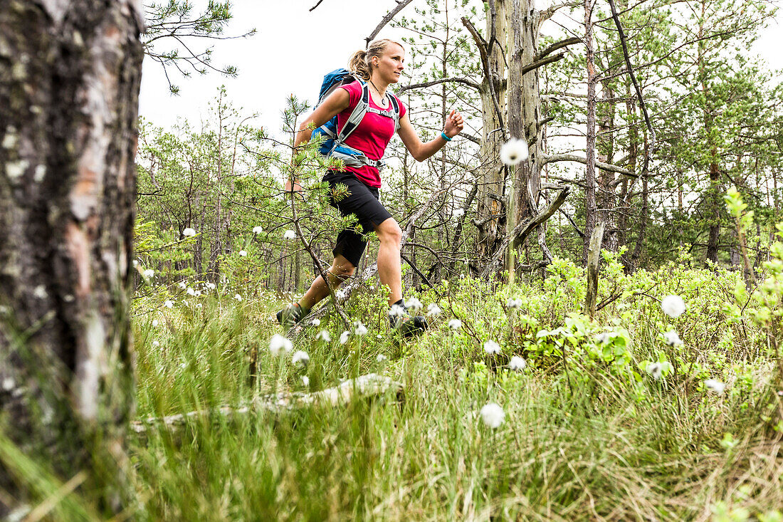 young woman hiking in a moorland forest, Berg at Lake Starnberg, Upper Bavaria, Germany