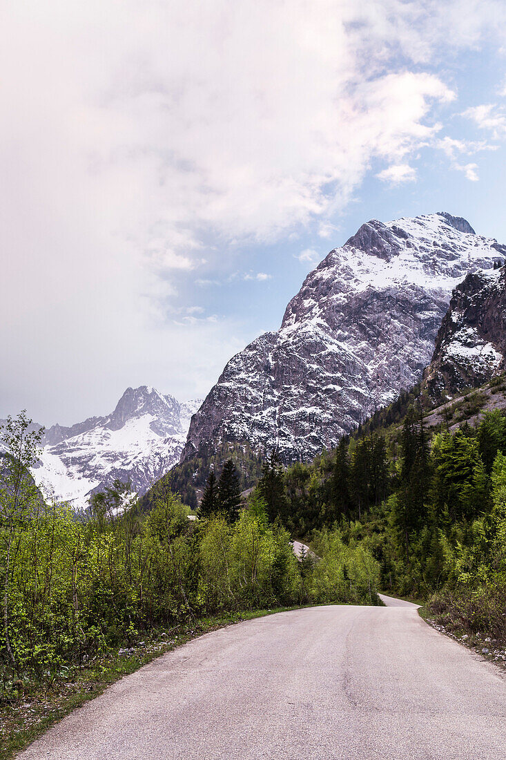 Straße im Falzthurntal im Frühling, im Hintergrund Lamsenspitze, Karwendel-Gebirge, Pertisau, Tirol, Österreich