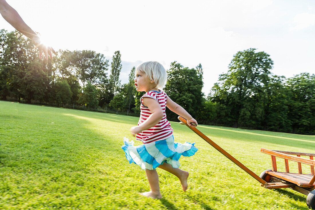 young father and his two-year-old daughter pulling a wagon over a meadow, Speyer, Rheinland-Pfalz, Germany