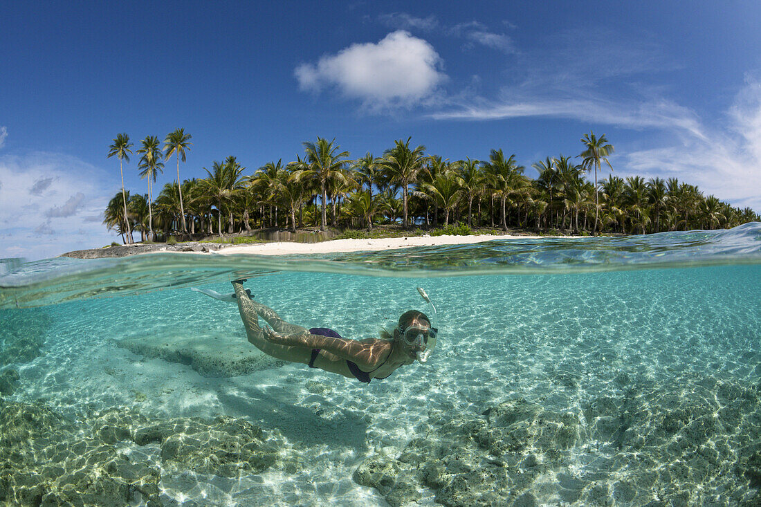 Snorkeling off palm-lined Island, Fadol, Kai Islands, Moluccas, Indonesia