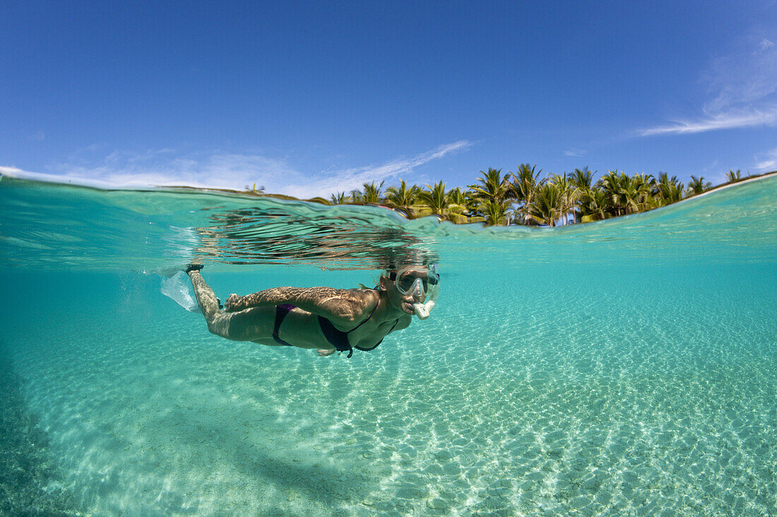 Snorkeling off palm-lined Island, Fadol, Kai Islands, Moluccas, Indonesia