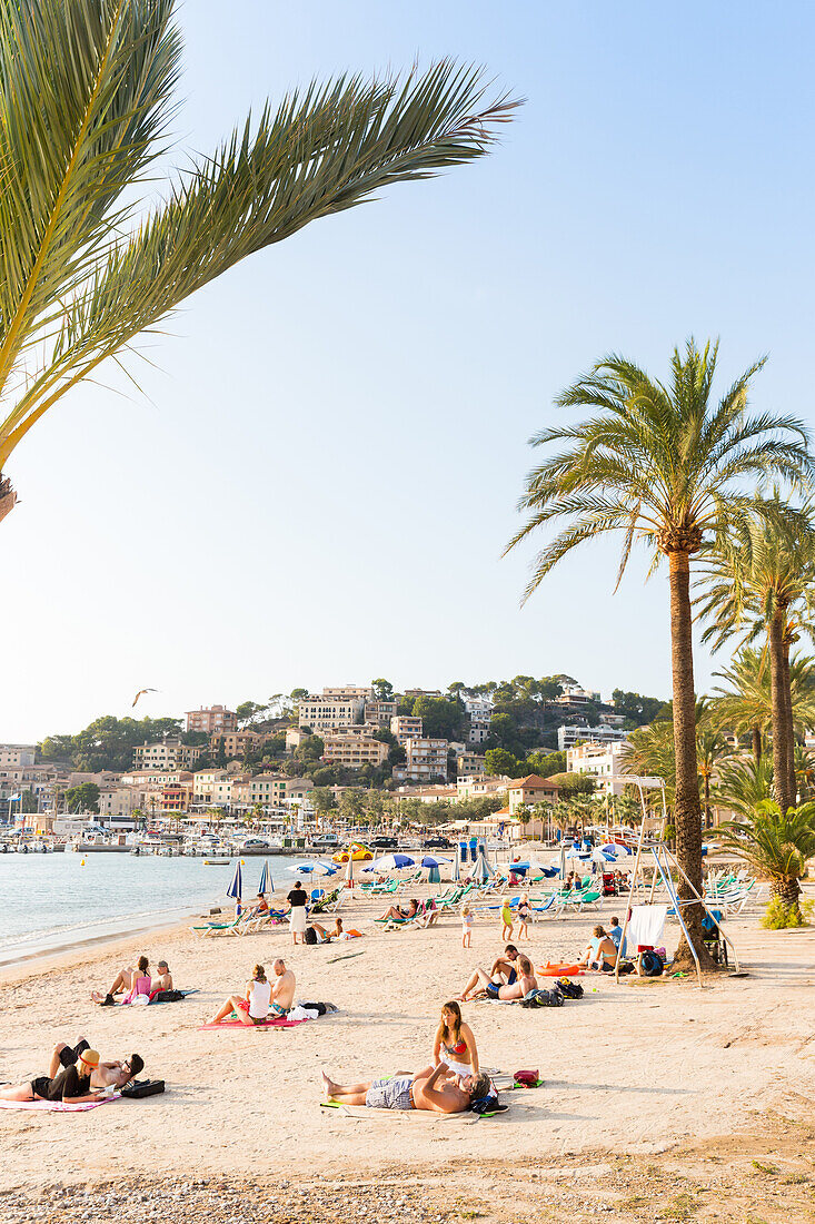 Beach with palm trees, Mediterranean Sea, Port de Soller, Serra de Tramuntana, Majorca, Balearic Islands, Spain, Europe