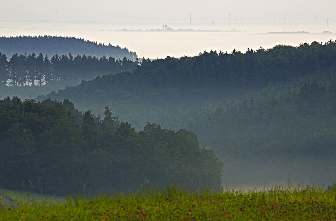 Early morning near Rhaunen, Administrative district of Birkenfeld, Region of Hunsrueck, Rhineland-Palatinate, Germany, Europe