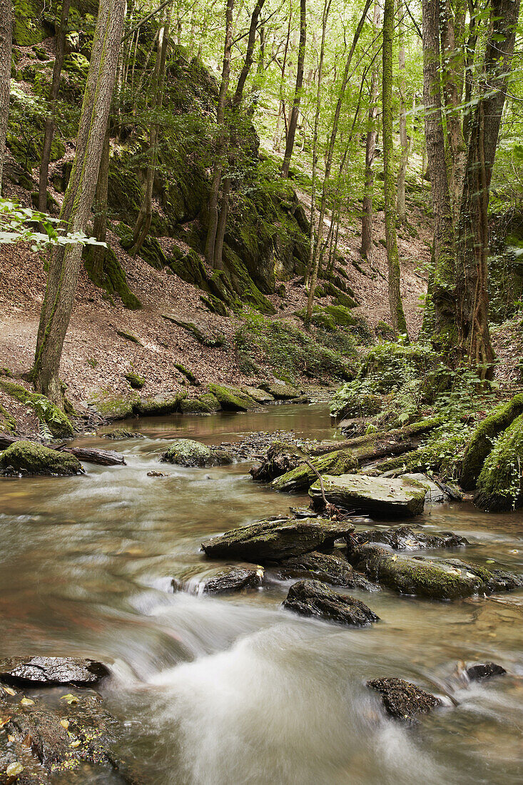 Ehrbachklamm, Rhein-Hunsrück Kreis, Hunsrück, Rheinland-Pfalz, Deutschland, Europa