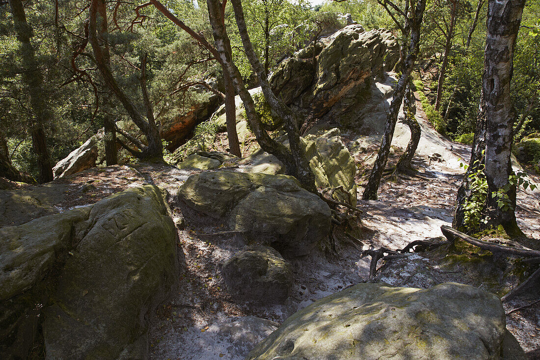 Dörenther Klippen am Hermannsweg bei Ibbenbüren , Münsterland , Nordrhein-Westfalen , Deutschland , Europa