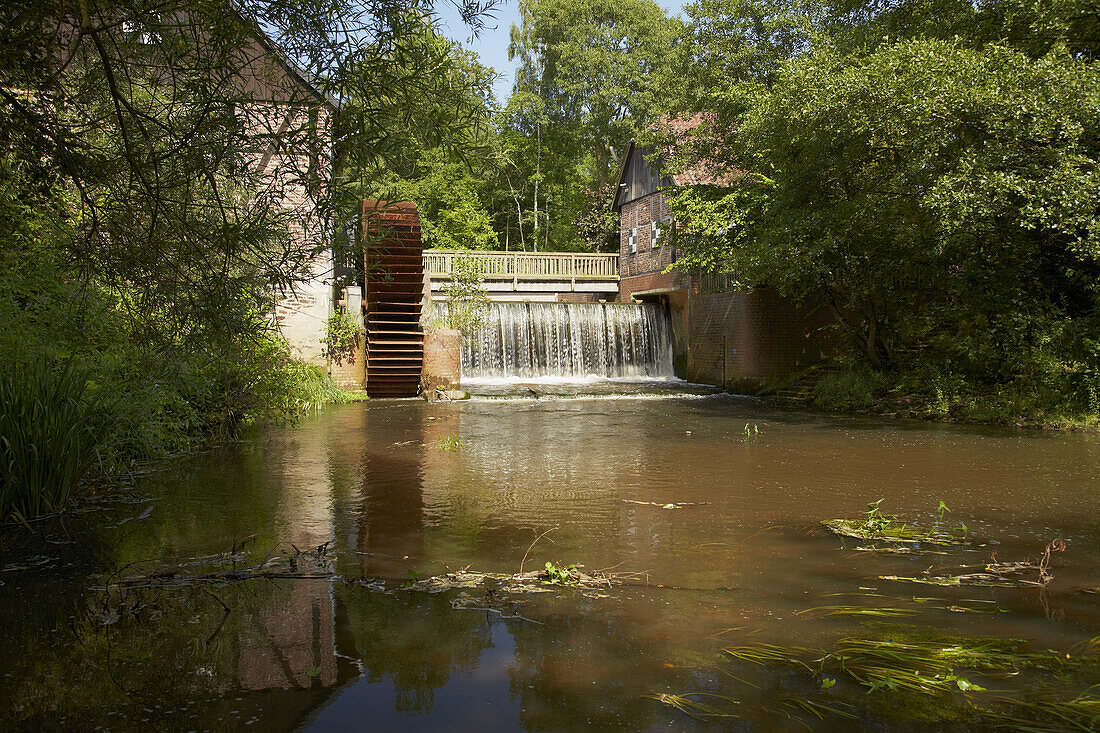 Mill Sythen near Haltern am See , Muensterland , North Rhine-Westphalia , Germany , Europe