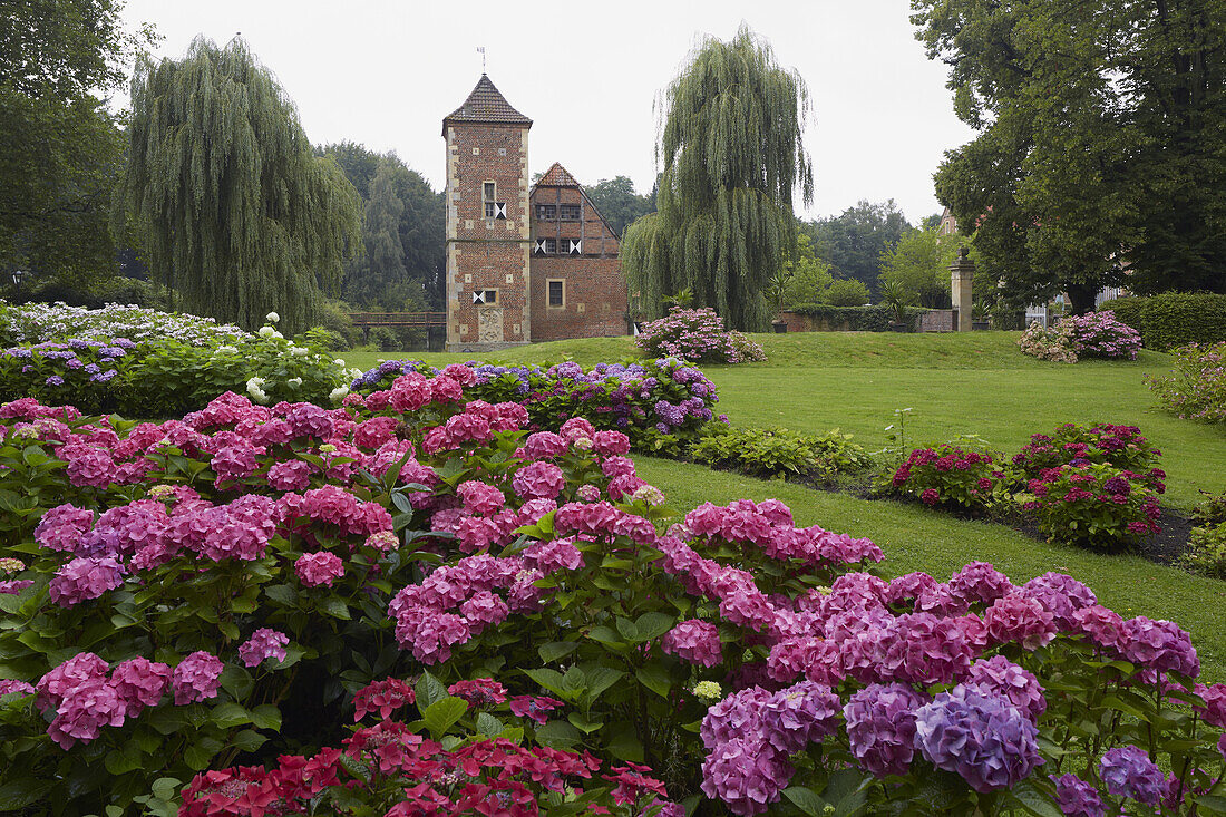 Burg Hülshoff mit Park , Geburtshaus von  Annette von Droste-Hülshoff , Drostemuseum , Havixbeck , Münsterland , Nordrhein-Westfalen , Deutschland , Europa
