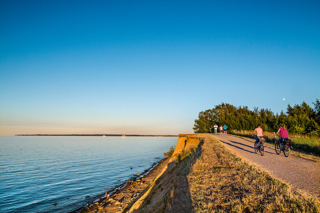 Cliff in the evening light, Brodtener Ufer, Niendorf, Baltic Coast, Schleswig-Holstein, Germany