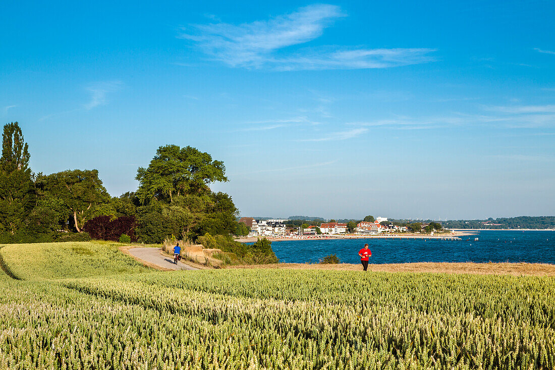 Getreidefeld an der Steilküste, Blick vom Brodtener Ufer auf Niendorf, Lübecker Bucht, Ostsee, Schleswig-Holstein, Deutschland