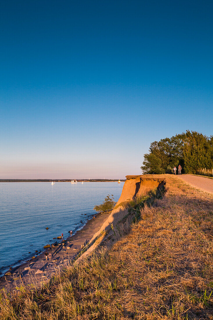 Steilküste im Abendlicht, Brodtener Ufer, Niendorf, Lübecker Bucht, Ostsee, Schleswig-Holstein, Deutschland