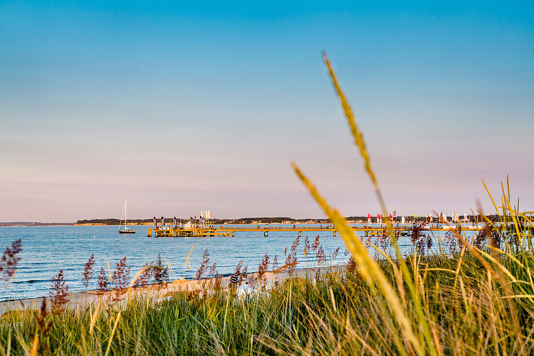 Blick über Dünen auf Seebrücke, Scharbeutz, Lübecker Bucht, Ostsee, Schleswig-Holstein, Deutschland