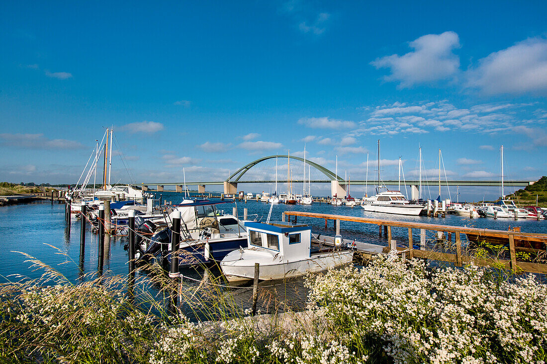 Hafen von Fehmarnsund, Fehmarnsundbrücke, Fehmarn, Ostsee, Schleswig-Holstein, Deutschland