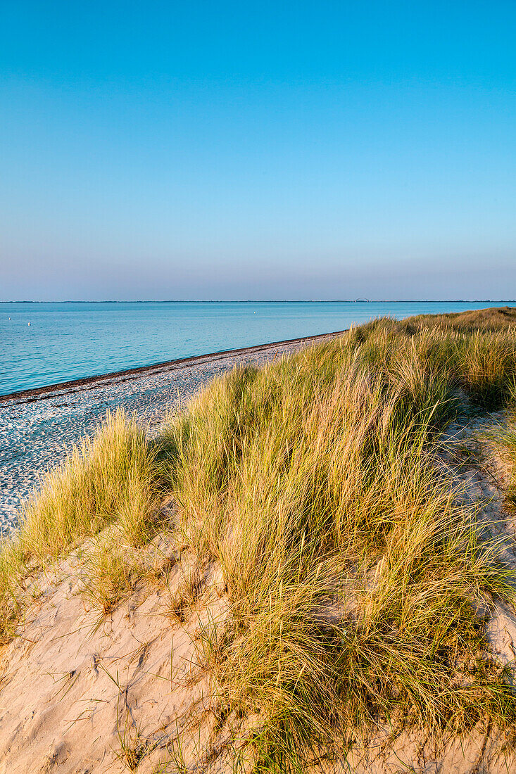 Strand und Dünen, Heiligenhafen, Ostsee, Schleswig-Holstein, Deutschland