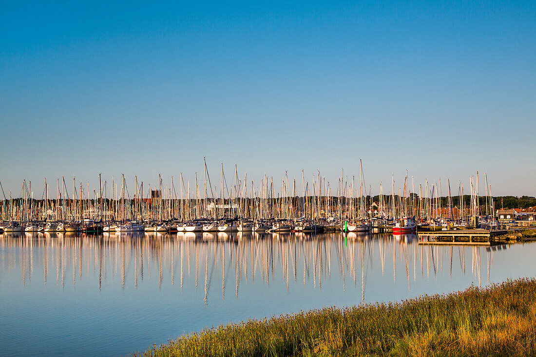 View from Graswarder penninsula towards marina, Heiligenhafen, Baltic Coast, Schleswig-Holstein, Germany