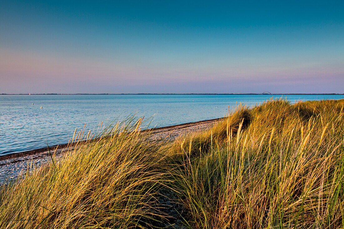 Strand und Dünen, Heiligenhafen, Ostsee, Schleswig-Holstein, Deutschland