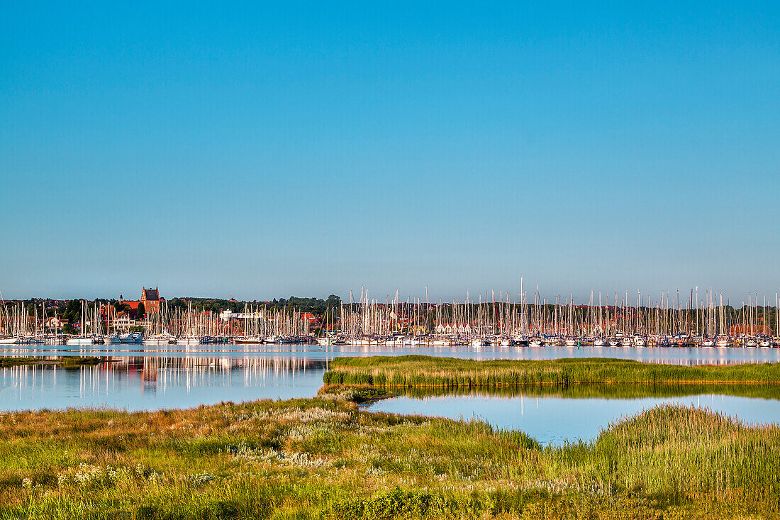 View from Graswarder penninsula towards marina, Heiligenhafen, Baltic Coast, Schleswig-Holstein, Germany