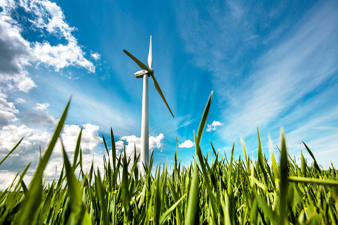 Wind turbine in a field, Baltic Coast, Schleswig-Holstein, Germany