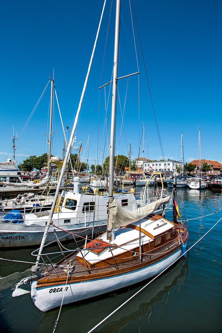 Marina, Laboe, Baltic Coast, Schleswig-Holstein, Germany