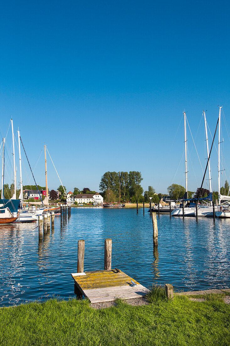 Marina, Arnis, Schlei Fjord, Baltic Coast, Baltic Coast, Schleswig-Holstein, Germany