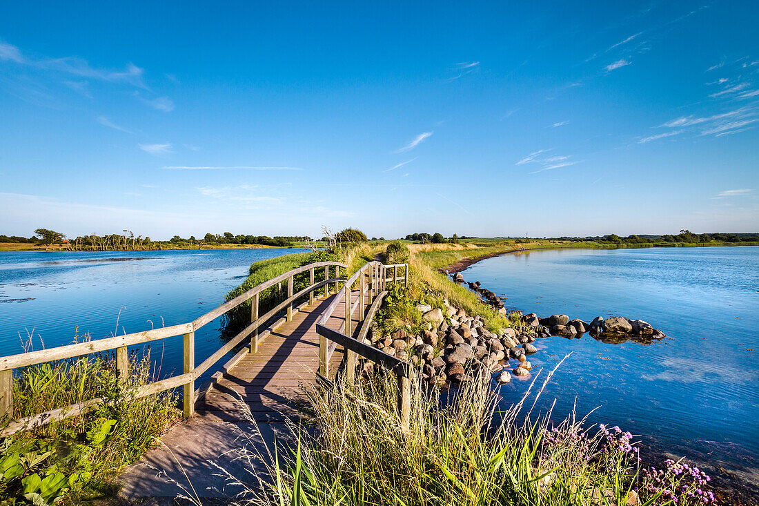 Path over the Holnis Noor to Holnis peninsula, Flensburger Foerde, Baltic Coast, Schleswig-Holstein, Germany