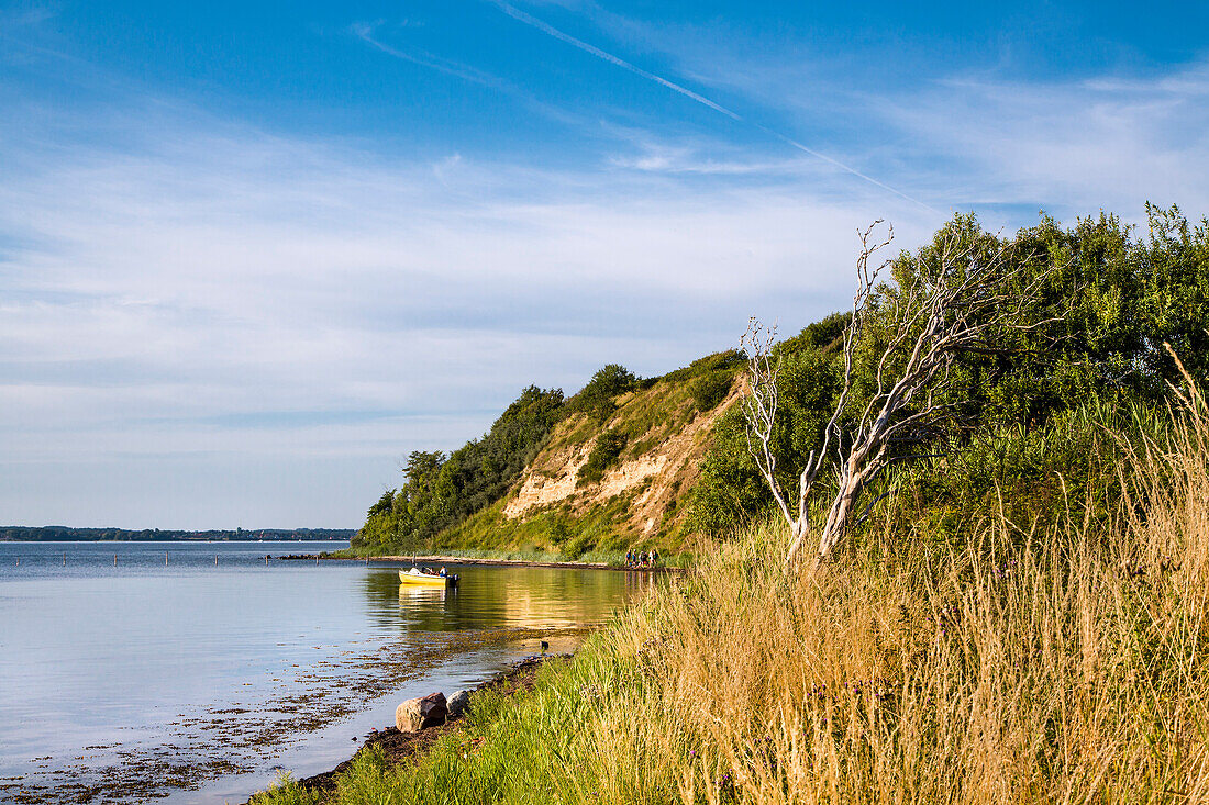 Holnis cliff, Holnis penninsula, Flensburger Foerde, Baltic Coast, Schleswig-Holstein, Germany