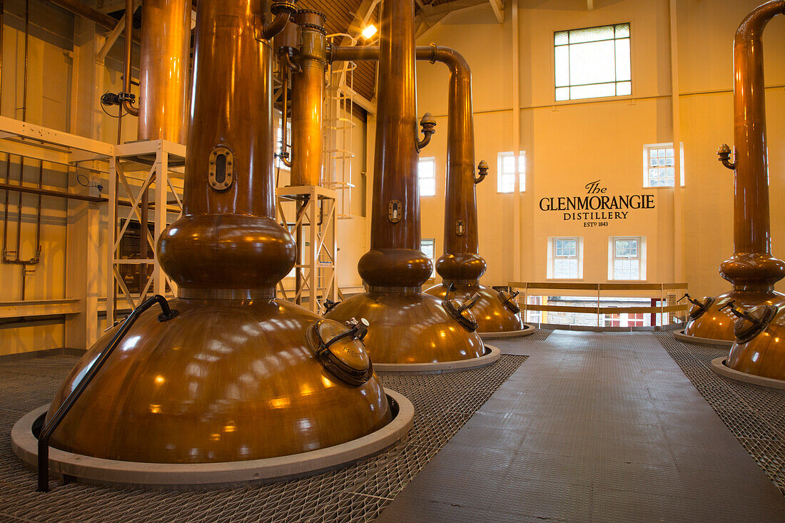 Giant copper pot stills in the Still Room at The Glenmorangie Whisky Distillery, Tain, Ross-shire, Highland, Scotland, United Kingdom