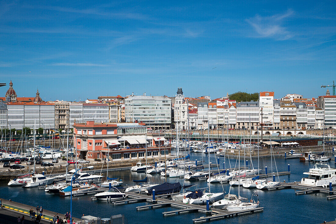 Segelboote in der Marina mit Stadtzentrum im Hintergrund, A Coruna, Galicien, Spanien, Europa