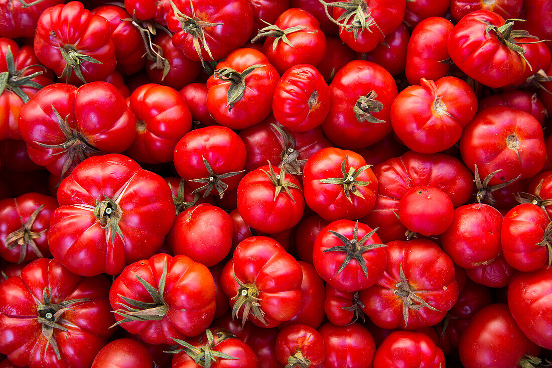 Reife rote Tomaten an einem Verkaufsstand am Ballaro Markt, Palermo, Sizilien, Italien, Europa