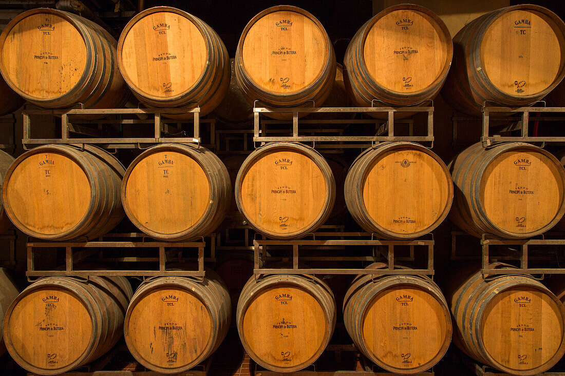Wine casks in cellar at Feudo Principi di Butera winery, Deliella, near Butera, Sicily, Italy