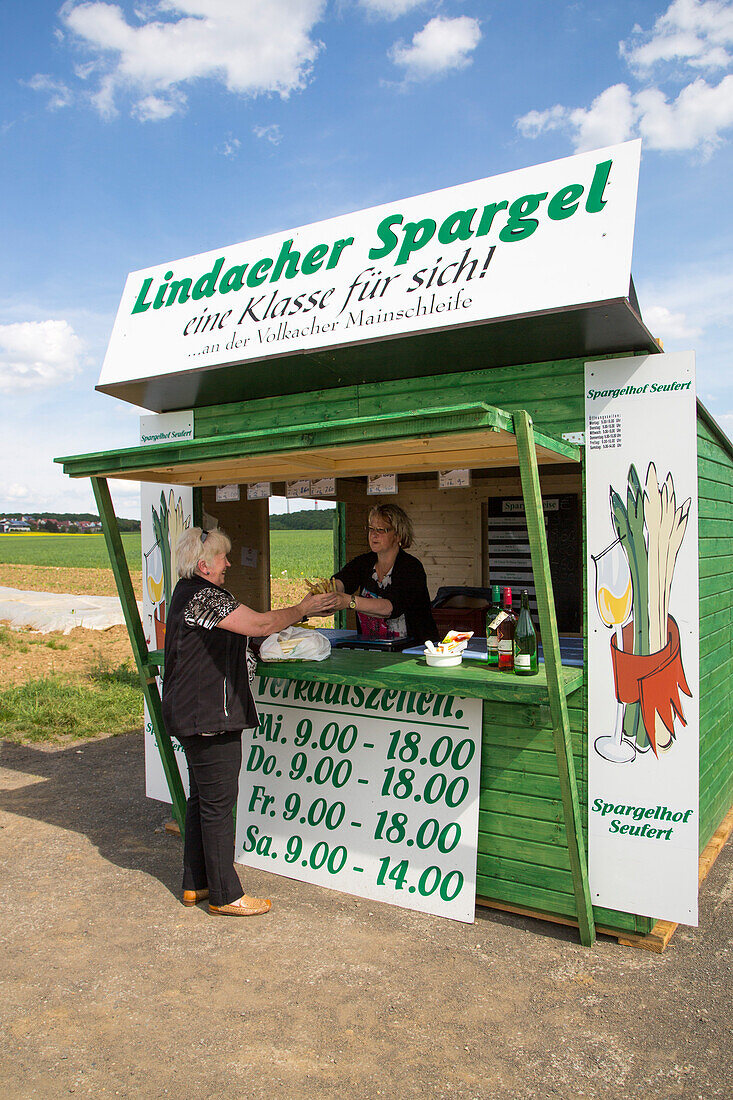 Lindacher Spargel white asparagus for sale at roadside vegetable stand, near Haßfurt, Franconia, Bavaria, Germany