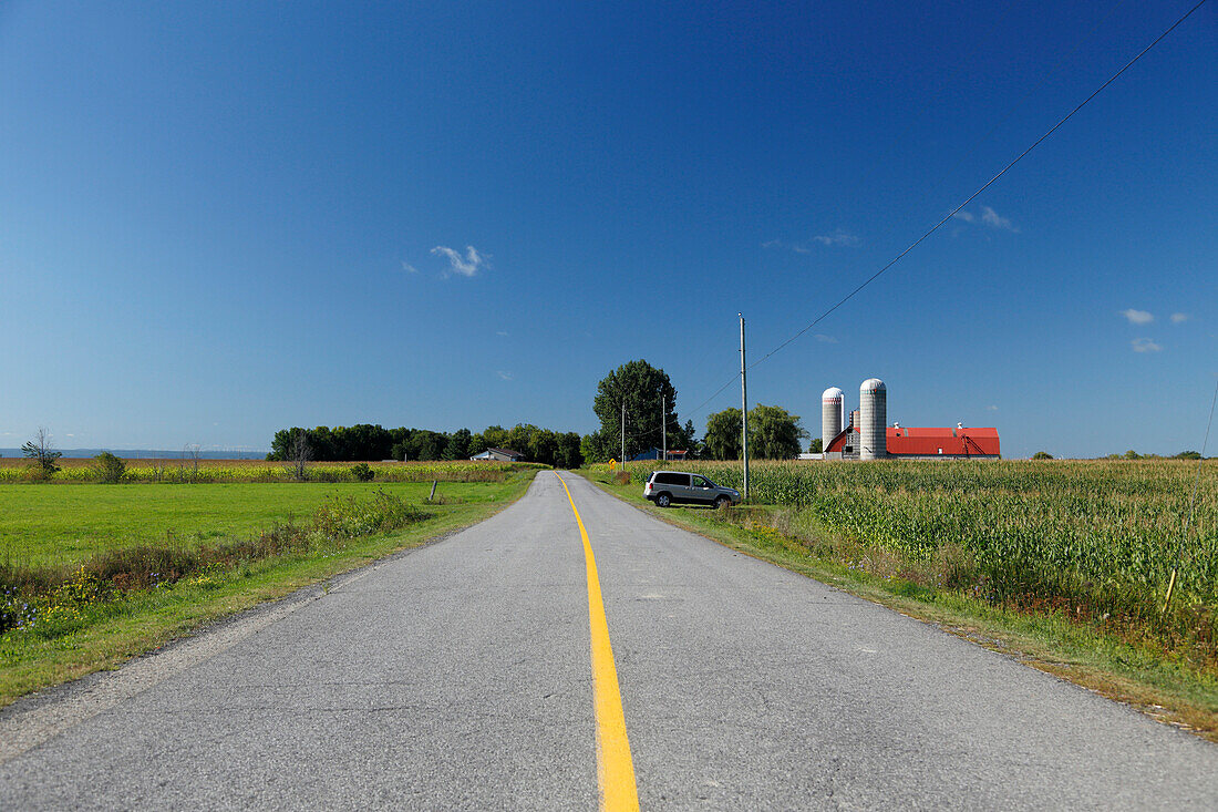 Farm im Maisfeld an einer Landstasse, Provinz Quebec, Kanada