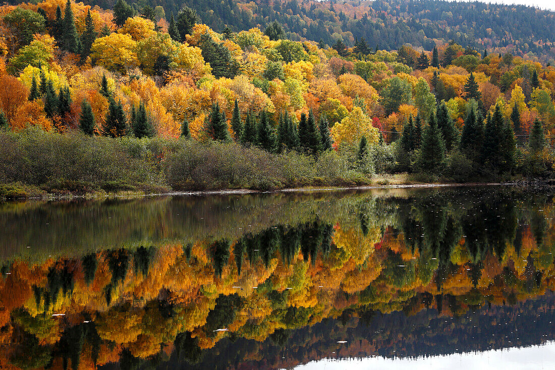 Autumn color at Monroe Lake, Park Mont Tremblant, Province Quebec, Canada