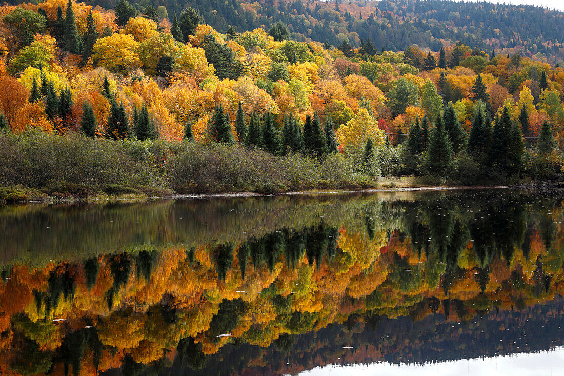 Herbstfarben am Monroe See im Mont Tremblant Nationalpark, Provinz Quebec, Kanada