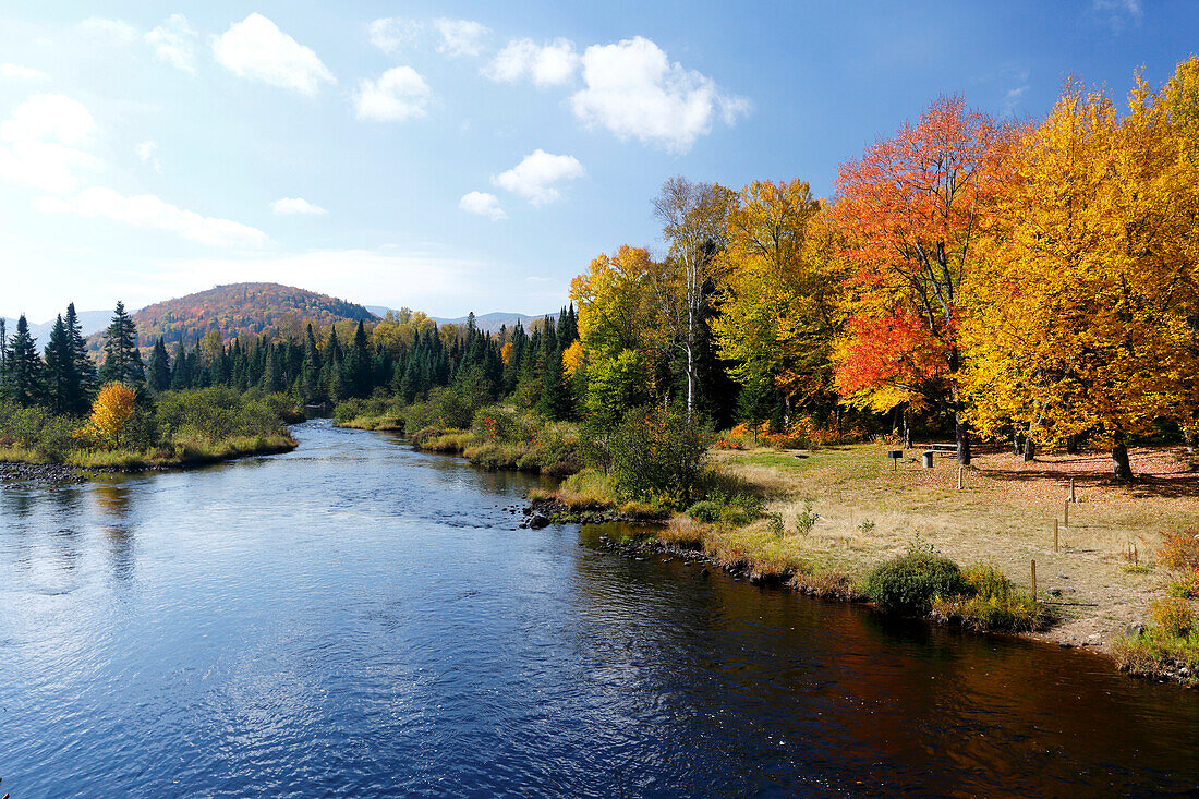 Autumn color at the Park Mont Tremblant, Province Quebec, Canada