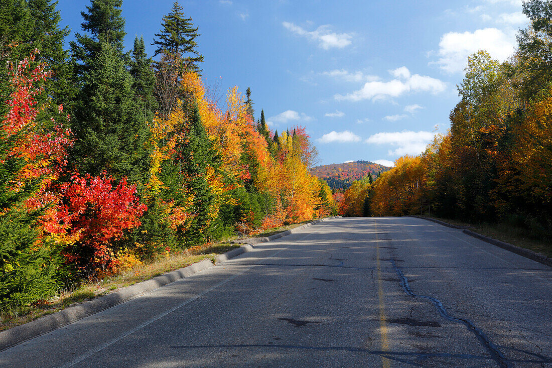 Park Strasse mit Herbstfarben im Mont Tremblant Nationalpark, Provinz Quebec, Kanada